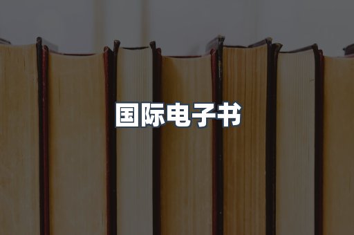 国际电子书